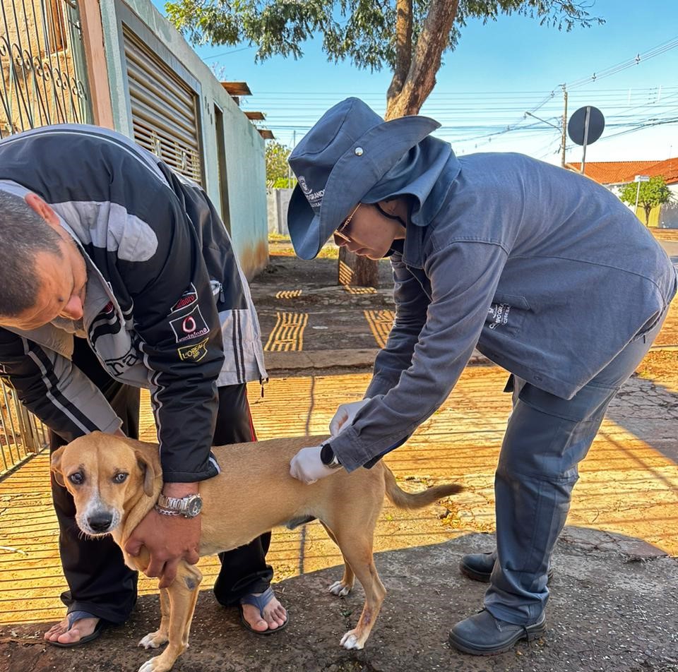 Vacinação na próxima quarta-feira atenderá cães e gatos nas unidades de emergência e na Praça Ari Coelho