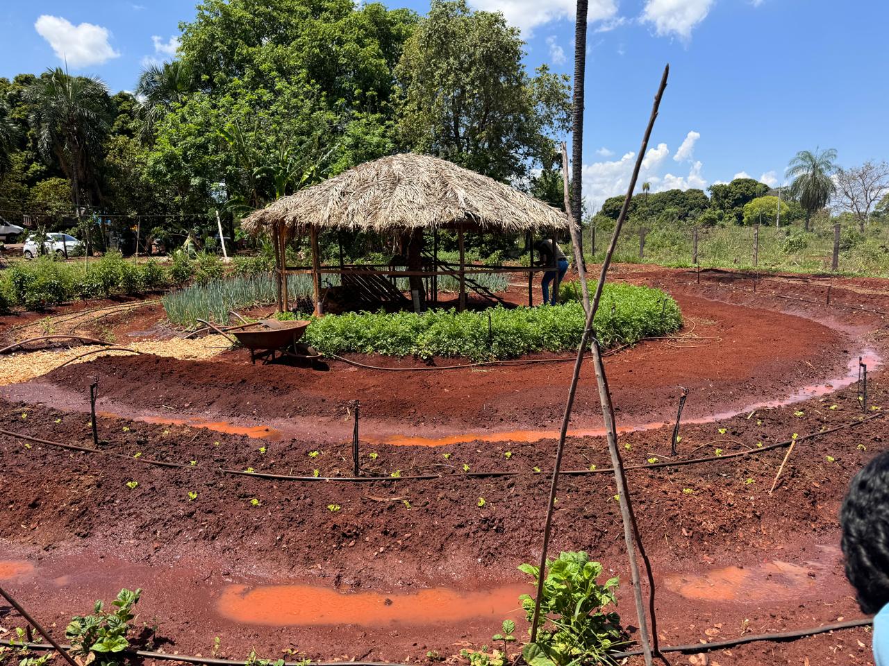 Escola rural da Reme adota horta em mandala para inovar o aprendizado dos alunos