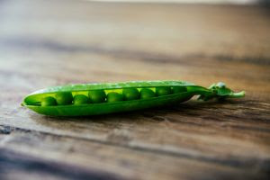 Descubra os benefícios de incluir a proteína vegetal no cardápio