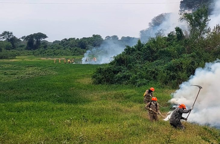 Chuvas no Pantanal de MS ajudam no controle de focos, mas Bombeiros mantém ações