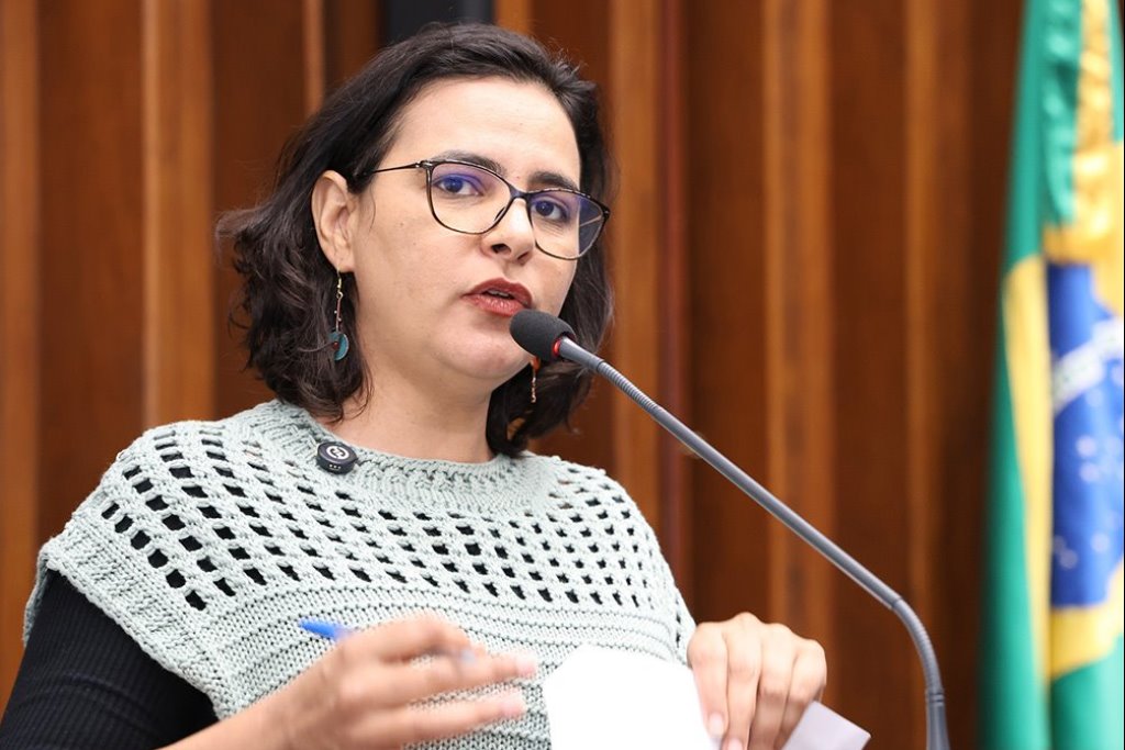Gleice Jane destaca articulação da bancada do PT para recursos de combate à chikungunya em Dourados