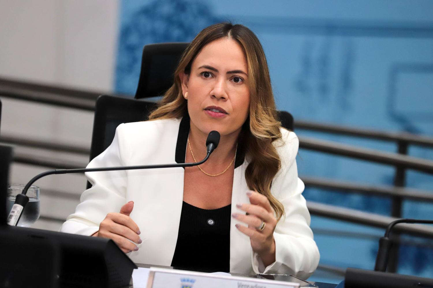 Vereadora Ana Portela expõe problemas e cobra Prefeitura por solução de demandas da população.