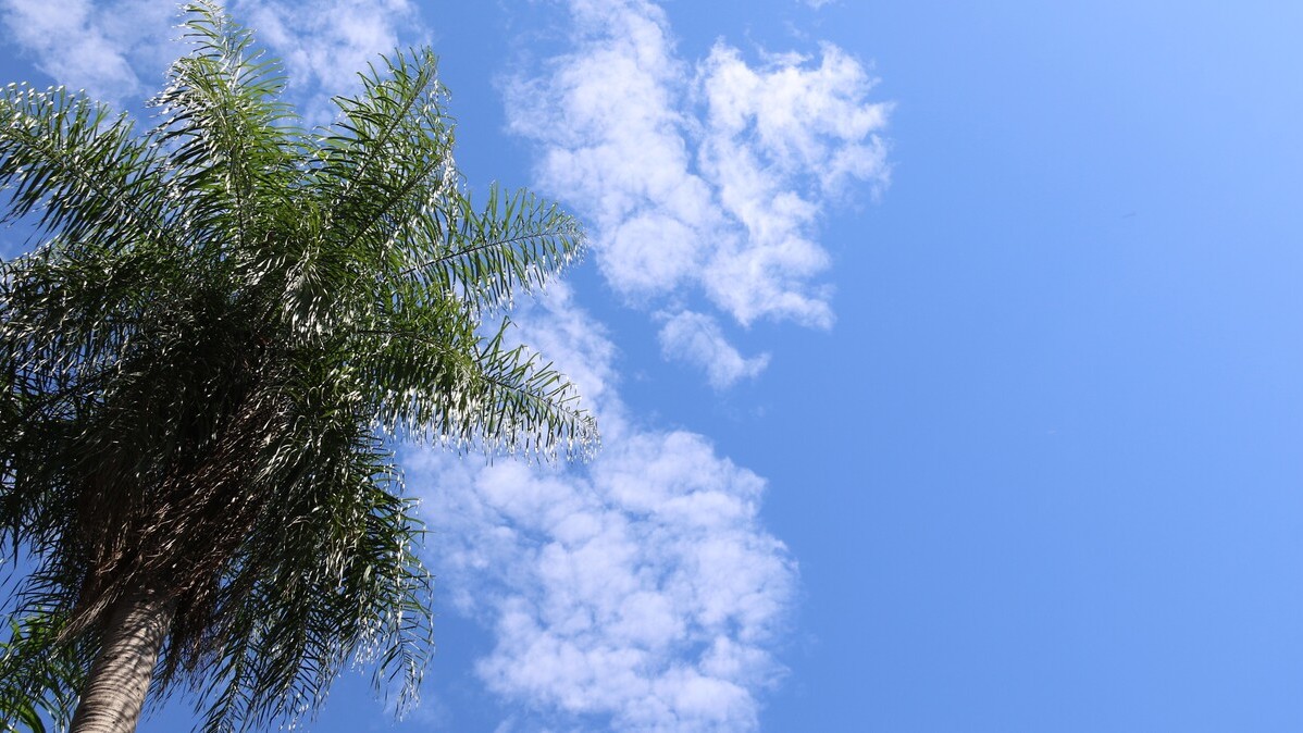 MS terá temperaturas elevadas durante a semana