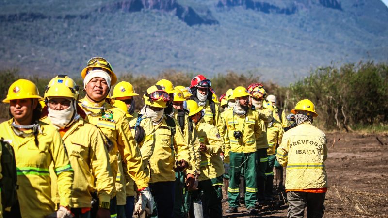 Brigadistas indígenas e comunitários realizam queima prescrita em área protegida do Pantanal