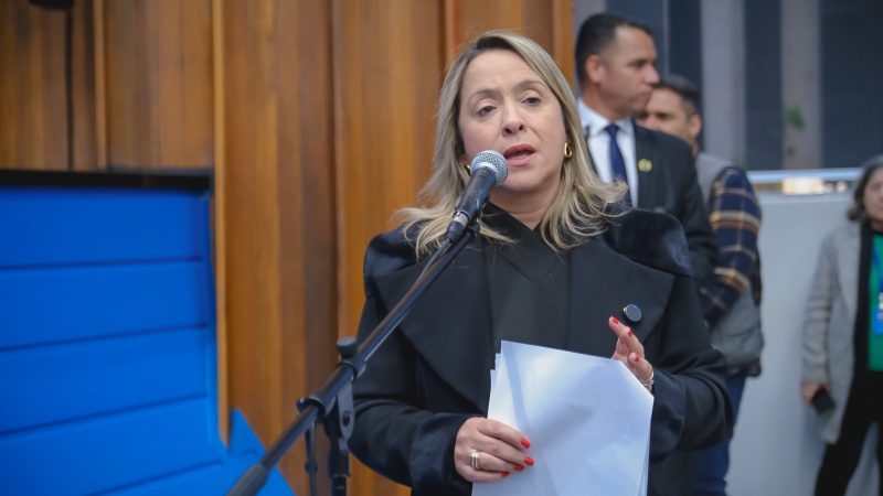 PL de Lia Nogueira busca reconhecer fissura labiopalatina como deficiência em MS