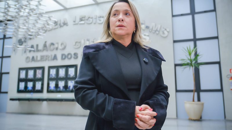 Elas romperam barreiras, mas a política ainda é um desafio