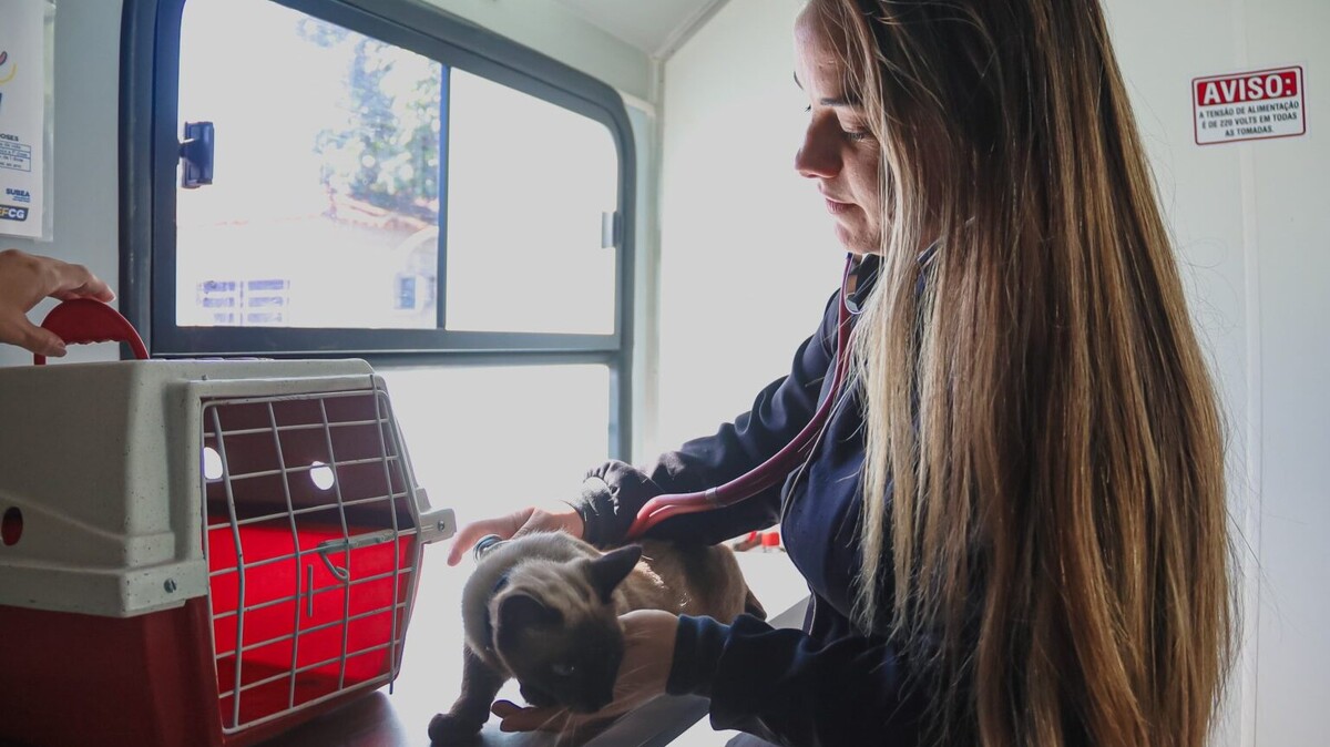 Jardim Noroeste recebe atendimento veterinário gratuito para cães e gatos de 8 a 12 de junho