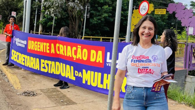 Luiza Ribeiro lança pré-candidatura à Assembleia Legislativa de MS