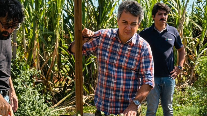 Vitória da agricultura familiar: Câmara aprova PAA Municipal e fortalece quem produz alimentos