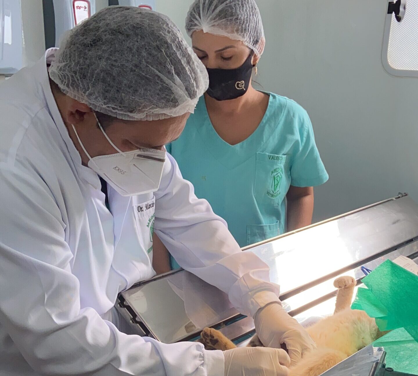 Entregue por Marcio Fernandes, Castramóvel oferece atendimento gratuito em Campo Grande