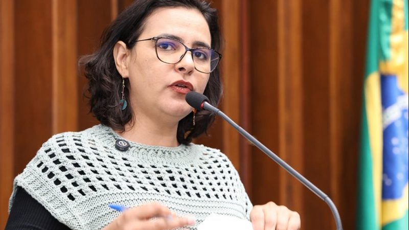 Gleice Jane comemora conquista histórica dos agentes comunitários de saúde e de combate às endemias