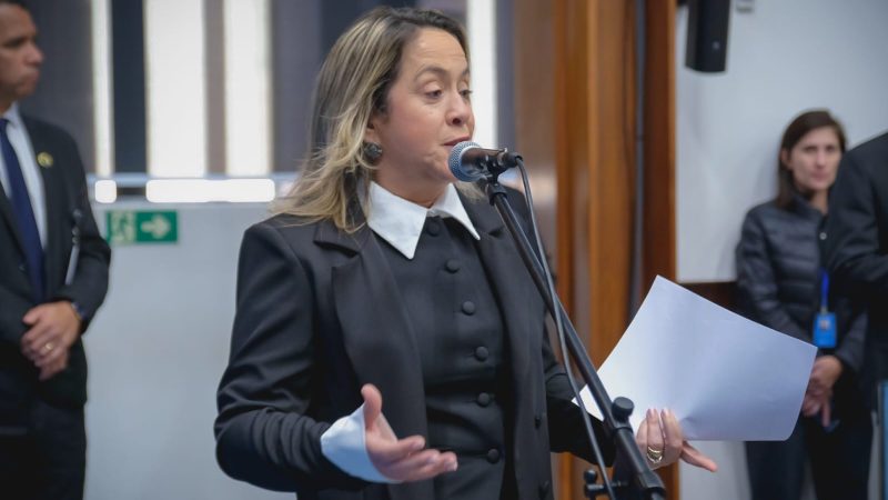 Lia Nogueira mobiliza bancada federal para fortalecer atendimento aos autistas