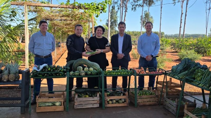 Trabalho que transforma: Gameleira amplia oportunidades, recupera escolas e leva alimentos à comunidade