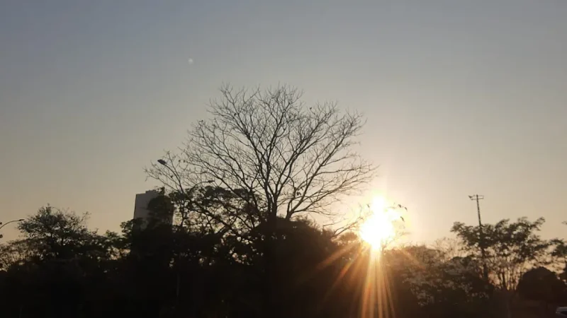 Agosto começa com calor de até 39°C e tempo seco em MS