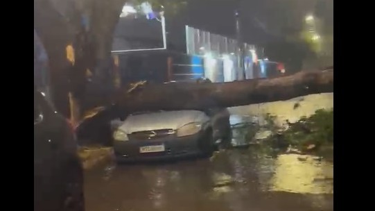 Chuva forte com ventos intensos causa estragos em Campo Grande
