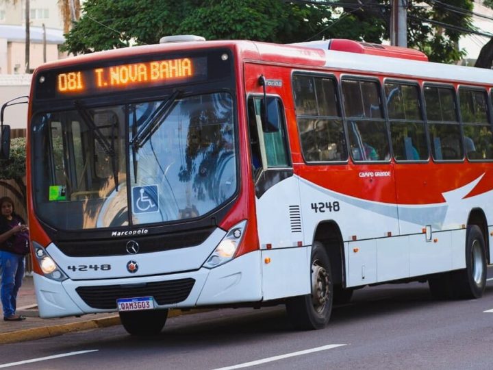 Ônibus circulam em escala especial neste Feriado da Padroeira na Capital